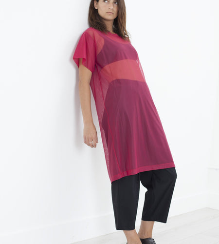 Mesh Over Dress in Pink