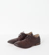 Marsacco Lace Up in Bark