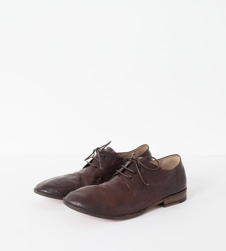 Marsacco Lace Up in Bark