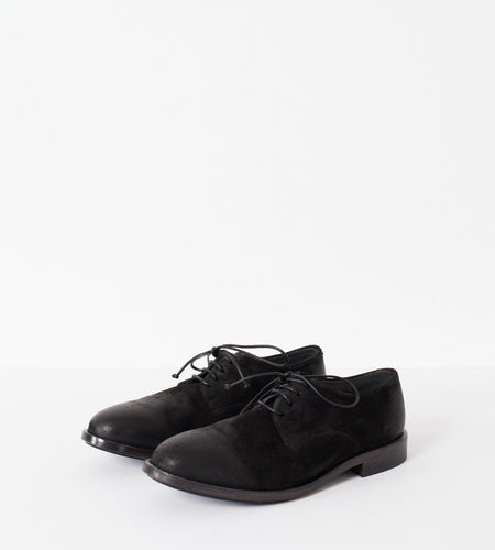 Sassolo Oxford in Black
