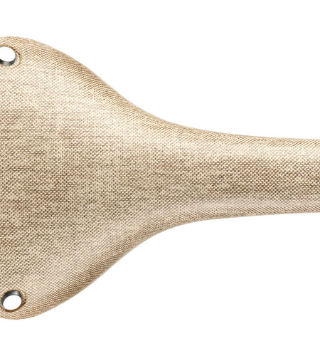 Brooks Cambium C17 Saddle